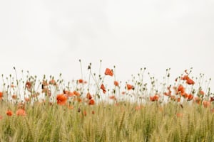 Visual inspiration example in gallery