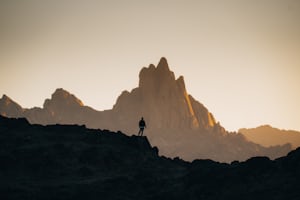 Visual inspiration example in gallery